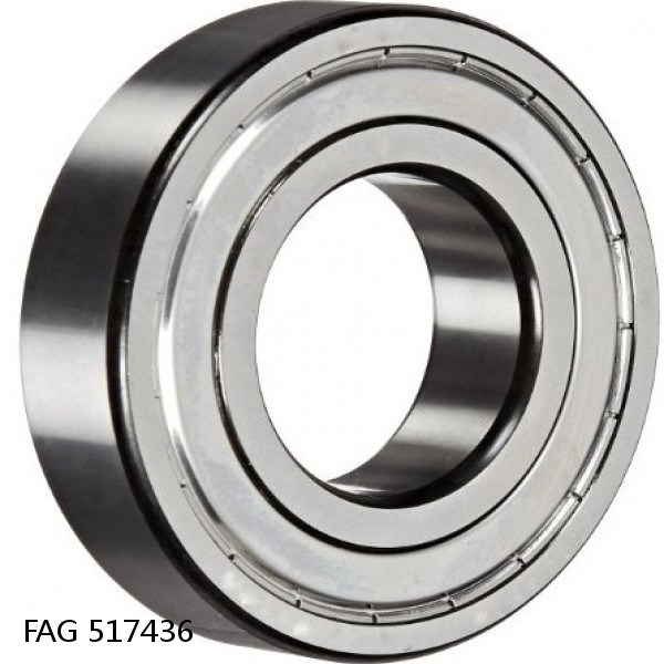 517436 FAG Cylindrical Roller Bearings