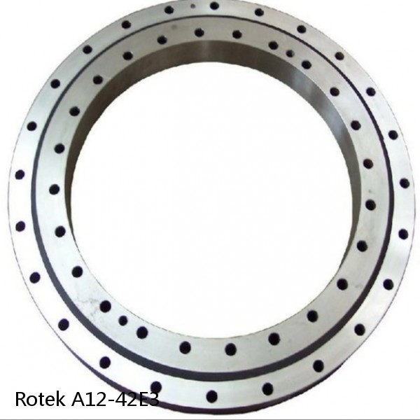 A12-42E3 Rotek Slewing Ring Bearings