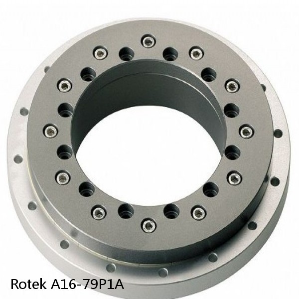 A16-79P1A Rotek Slewing Ring Bearings