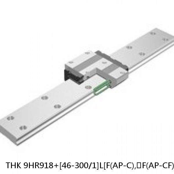 9HR918+[46-300/1]L[F(AP-C),​F(AP-CF),​F(AP-HC)] THK Separated Linear Guide Side Rails Set Model HR