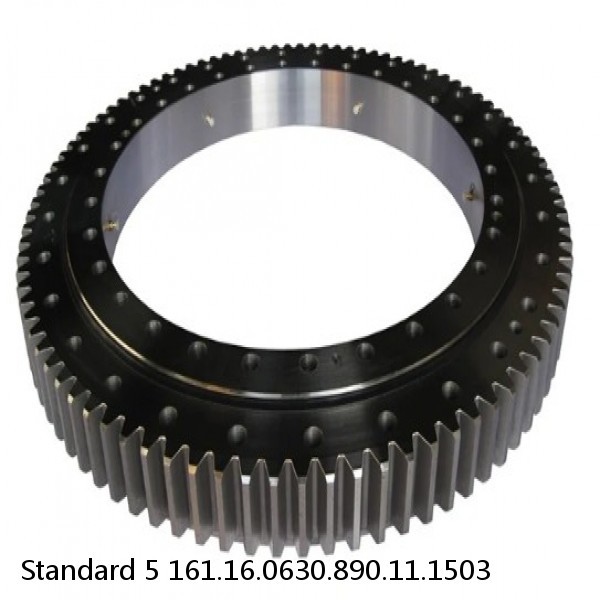 161.16.0630.890.11.1503 Standard 5 Slewing Ring Bearings