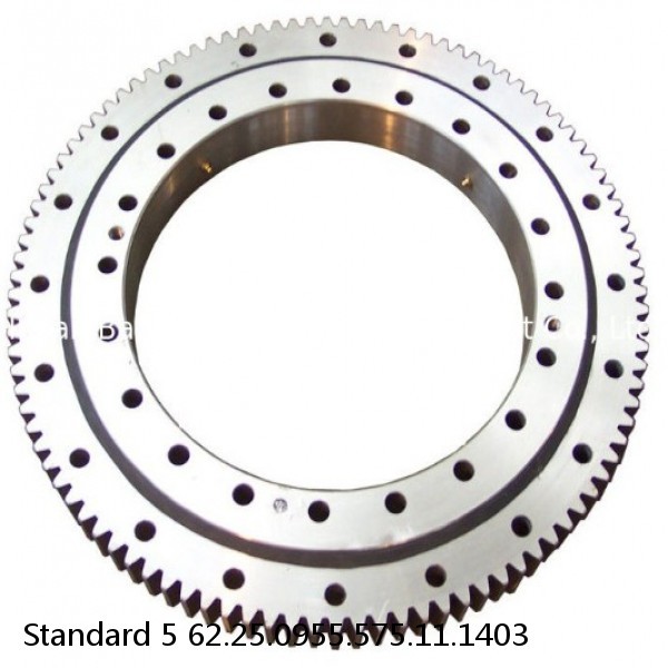 62.25.0955.575.11.1403 Standard 5 Slewing Ring Bearings