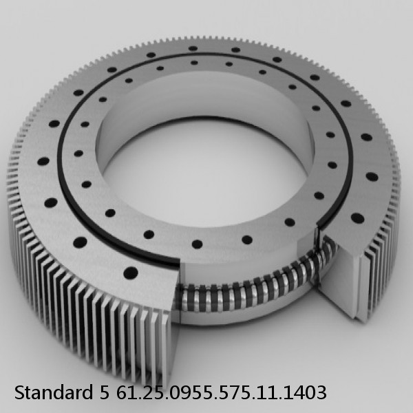 61.25.0955.575.11.1403 Standard 5 Slewing Ring Bearings