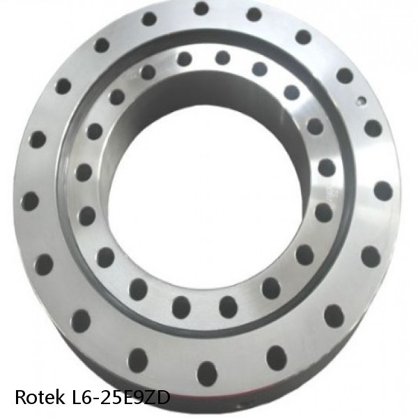 L6-25E9ZD Rotek Slewing Ring Bearings
