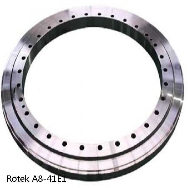 A8-41E1 Rotek Slewing Ring Bearings