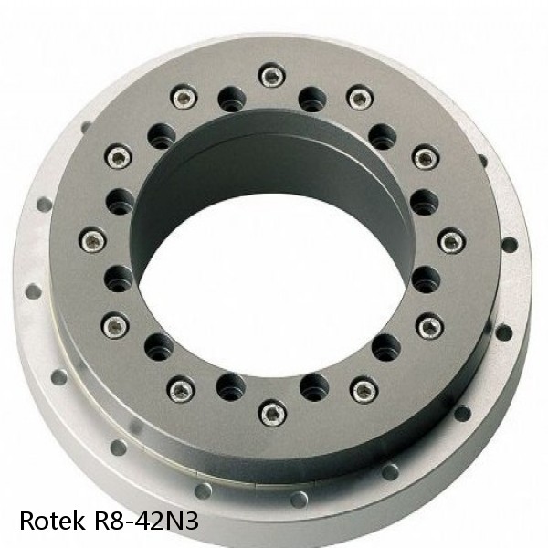 R8-42N3 Rotek Slewing Ring Bearings