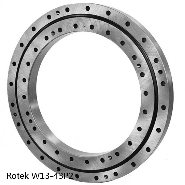 W13-43P2 Rotek Slewing Ring Bearings