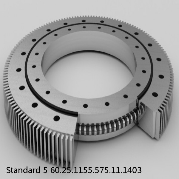 60.25.1155.575.11.1403 Standard 5 Slewing Ring Bearings