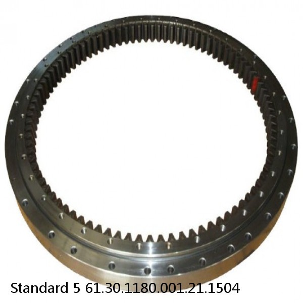 61.30.1180.001.21.1504 Standard 5 Slewing Ring Bearings