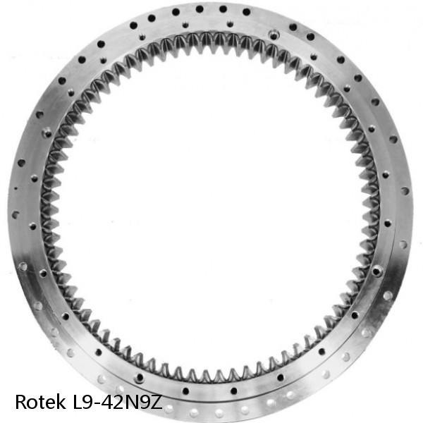 L9-42N9Z Rotek Slewing Ring Bearings