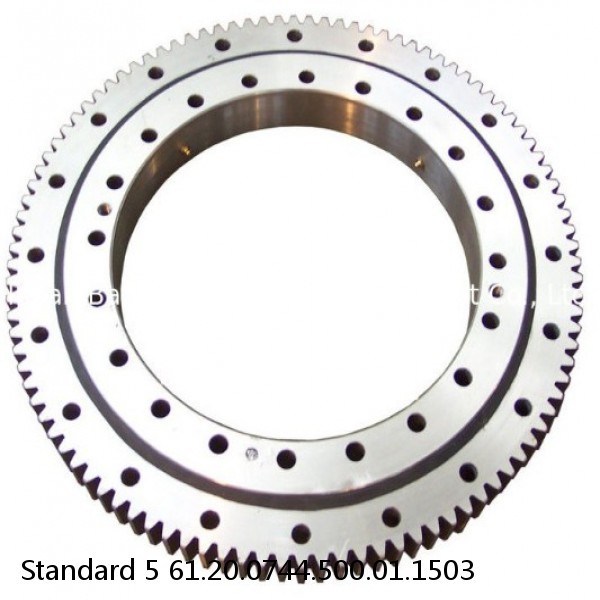 61.20.0744.500.01.1503 Standard 5 Slewing Ring Bearings