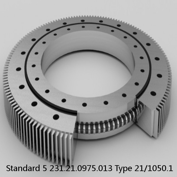 231.21.0975.013 Type 21/1050.1 Standard 5 Slewing Ring Bearings